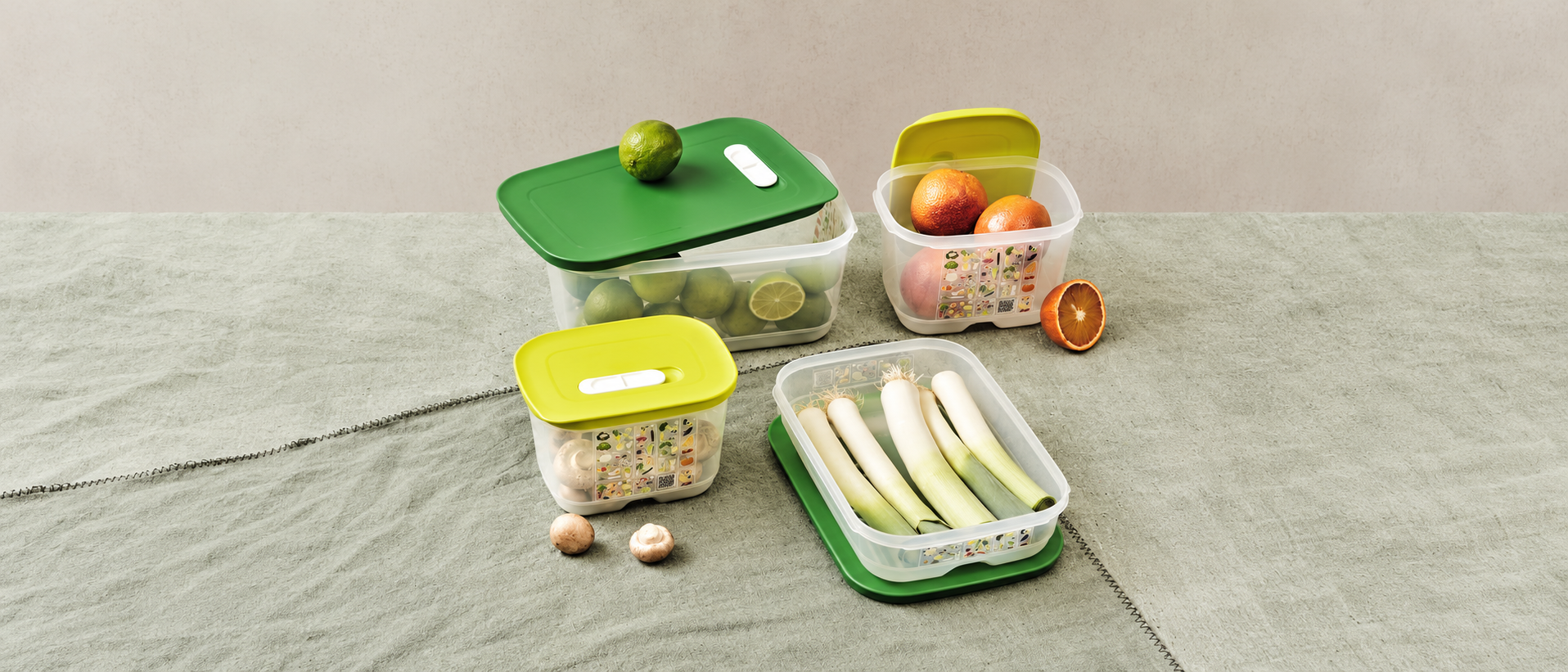 Organized kitchen essentials